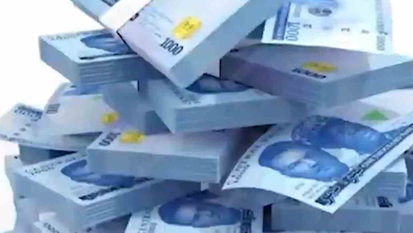 NELFund Begins ₦927.9m Clearance For Outstanding Student Upkeep Payments